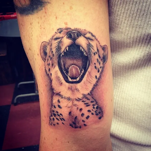 Animal, 표범