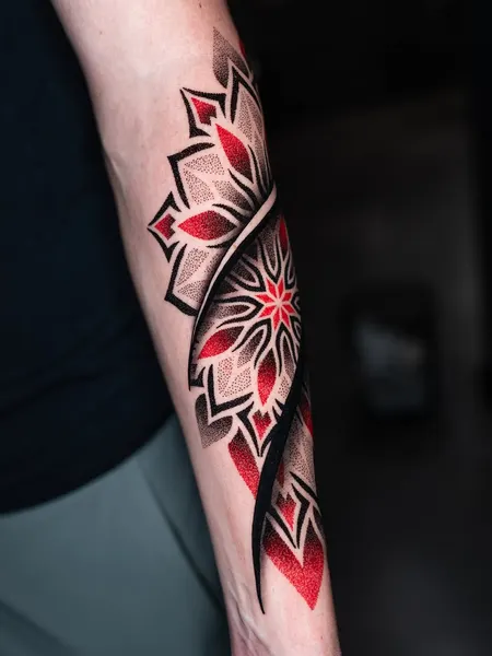 kostik_dry