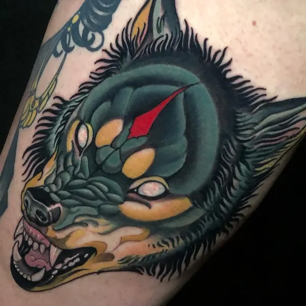 Animal, Tiger