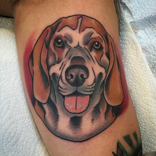 Animal