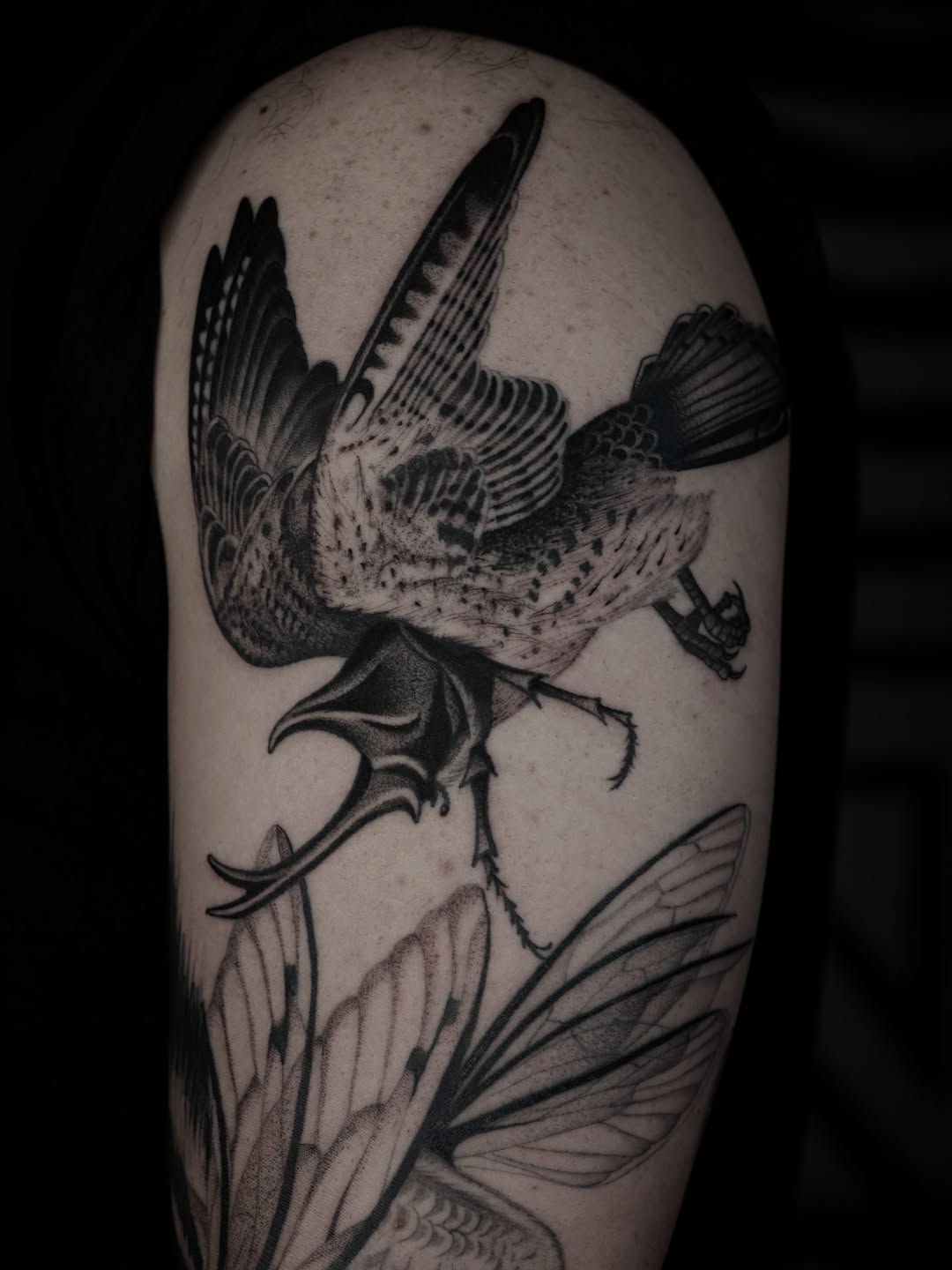 joshstephenstattoos