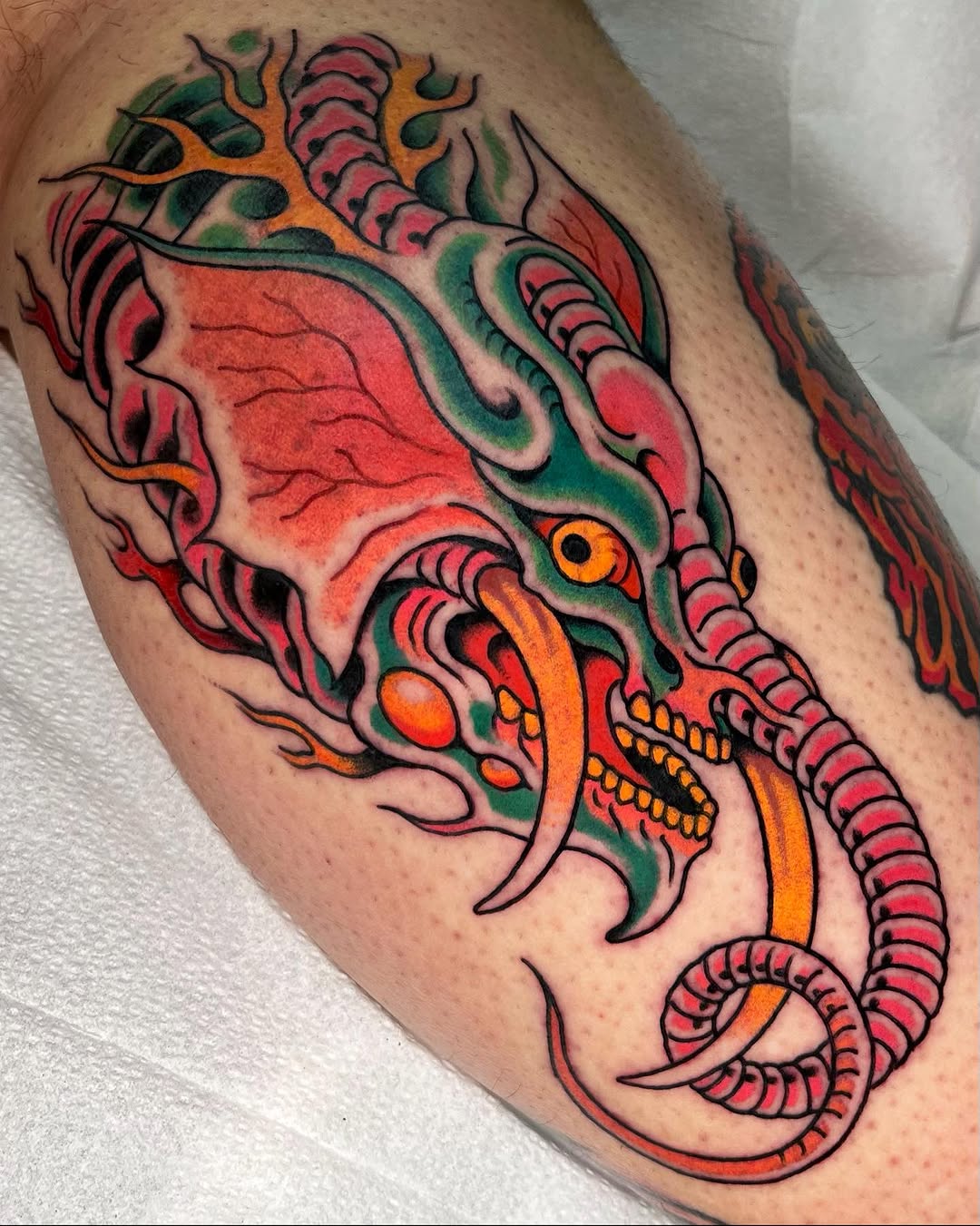 Dragon