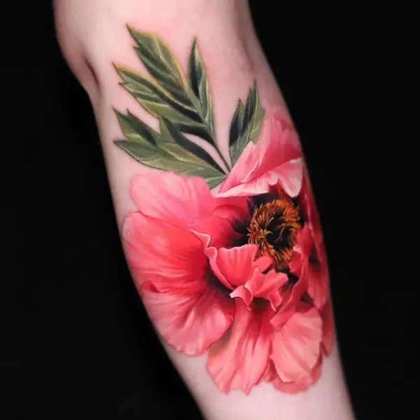 Flower, Rose, 양귀비