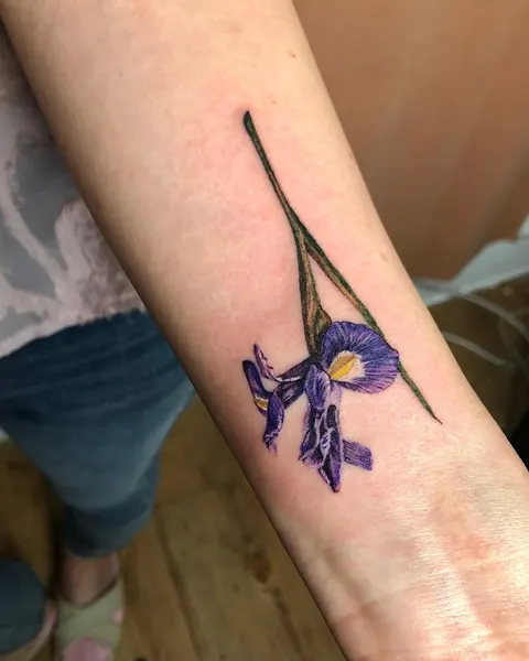 Flower, 난초, 아이리스, 백합, 튤립