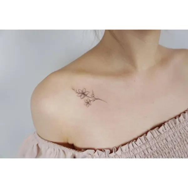 거미, 잠자리, 염소자리, 이레즈미, 전갈자리, 처녀자리, 천칭자리