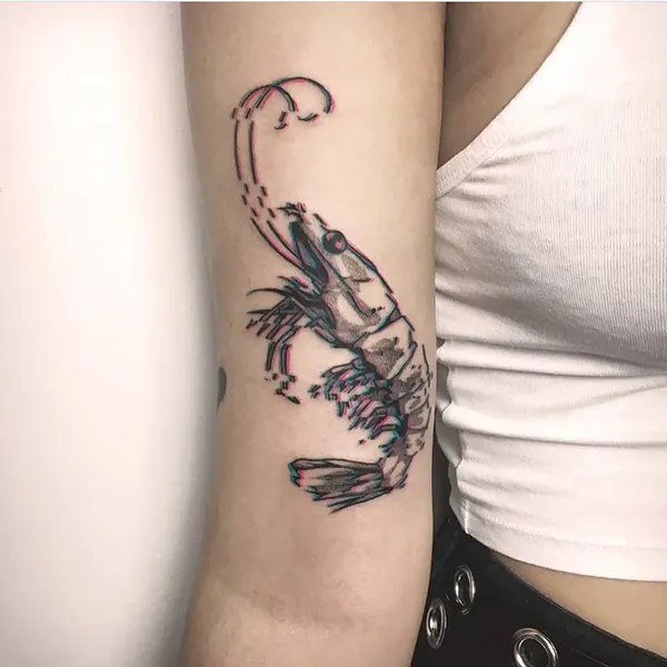 equilattera