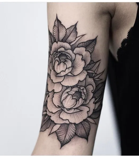 Flower, Rose, Nature
