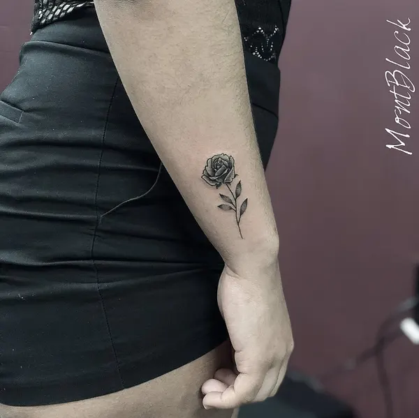 Flower, Rose