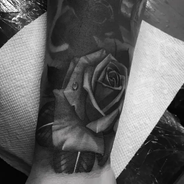 Flower, Rose