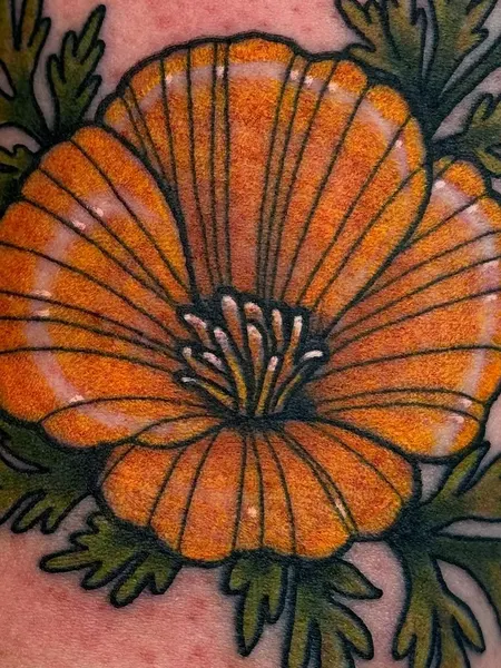 Rose, Flower