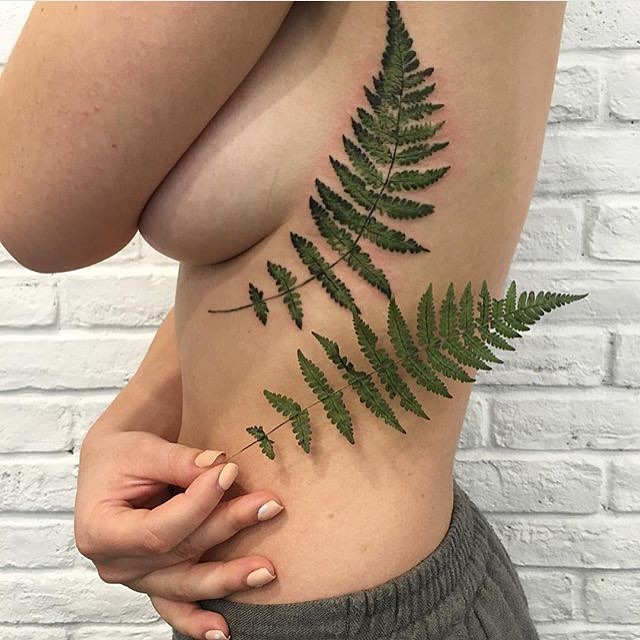 숲, Flower, 잎, 풀, 고사리, 대나무, 은행잎, 나뭇가지, Nature, 단풍잎