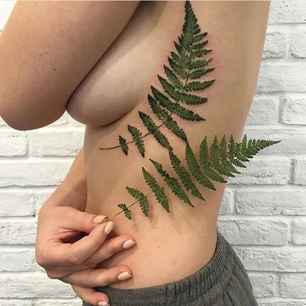 숲, Flower, 잎, 풀, 고사리, 대나무, 은행잎, 나뭇가지, Nature, 단풍잎