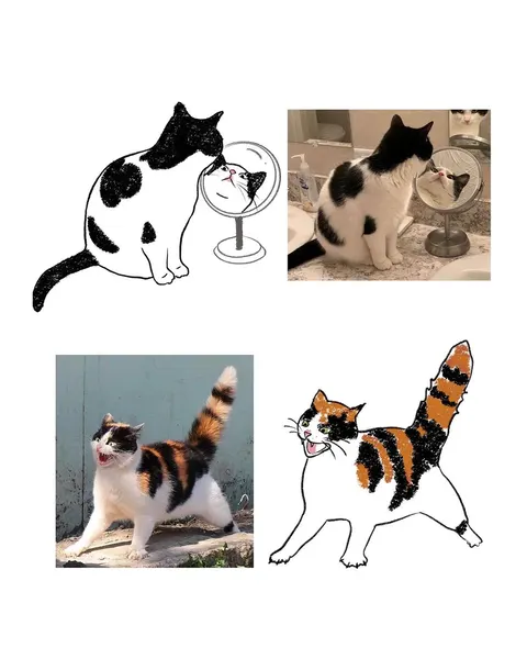 Animal