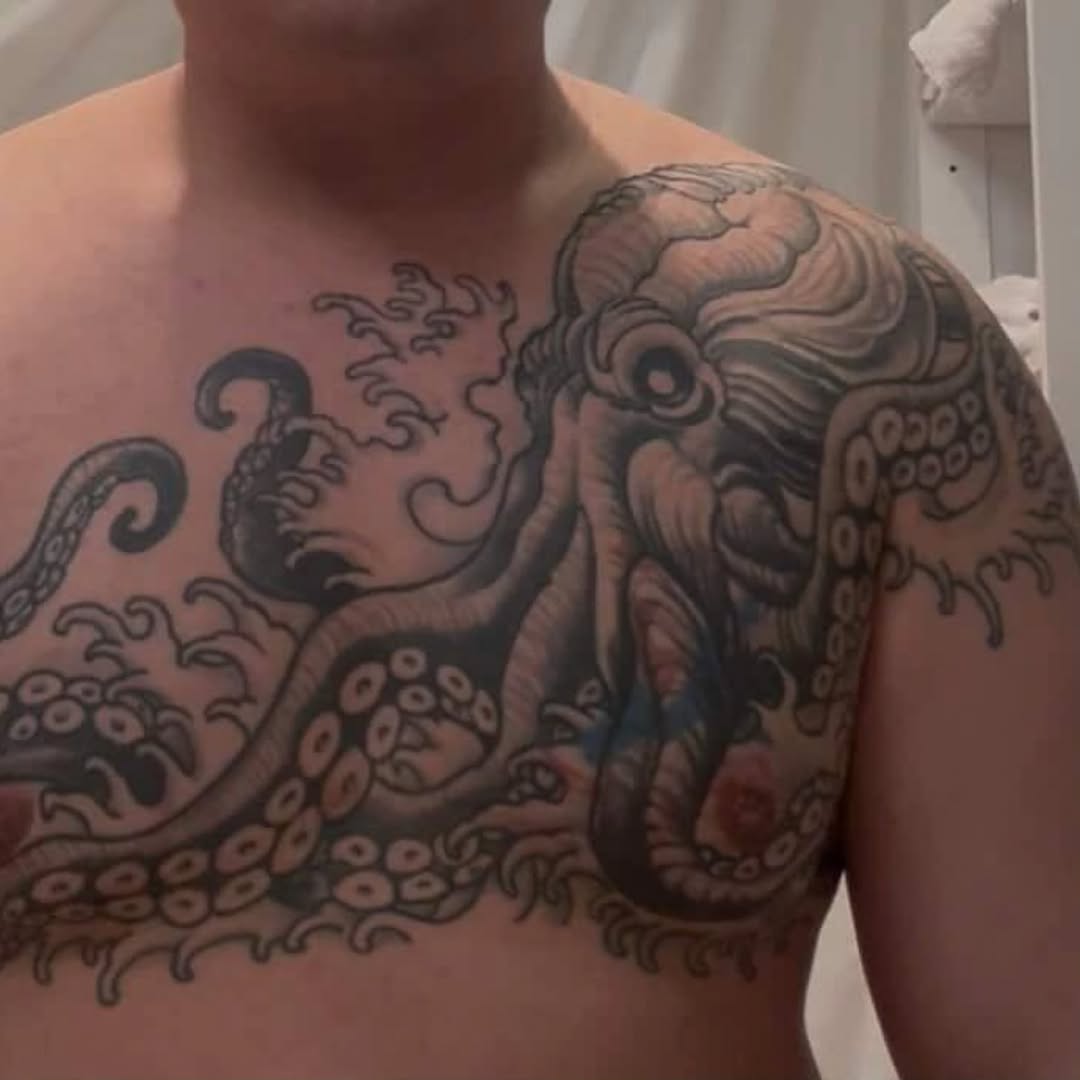 Animal, 문어, 크라켄