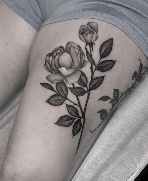 Flower, Rose