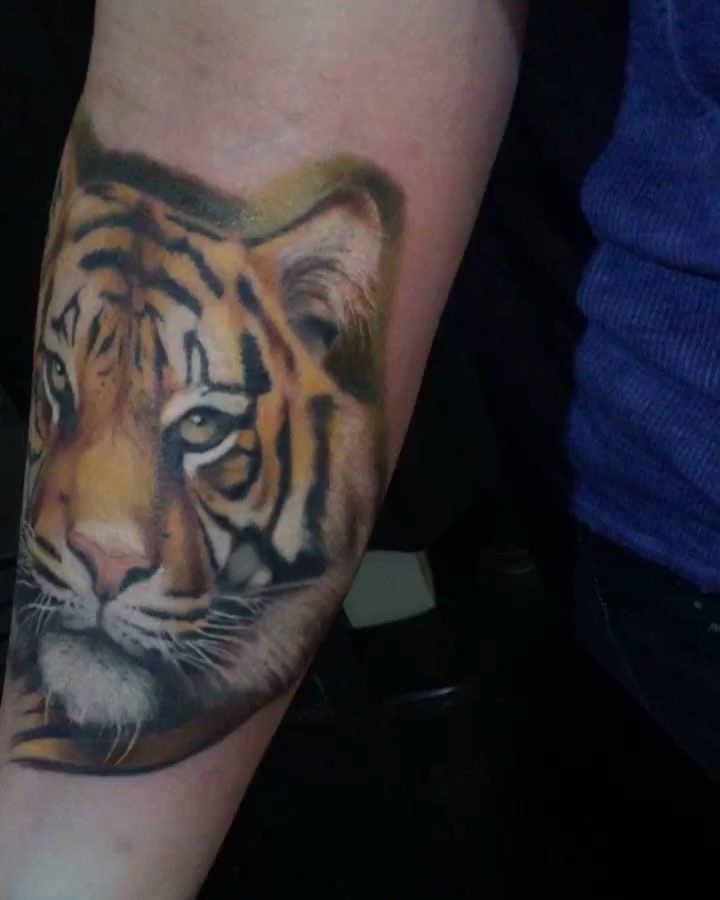 Tiger