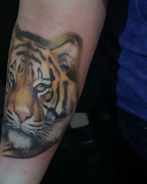 Tiger