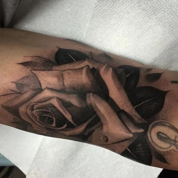 Flower, Rose