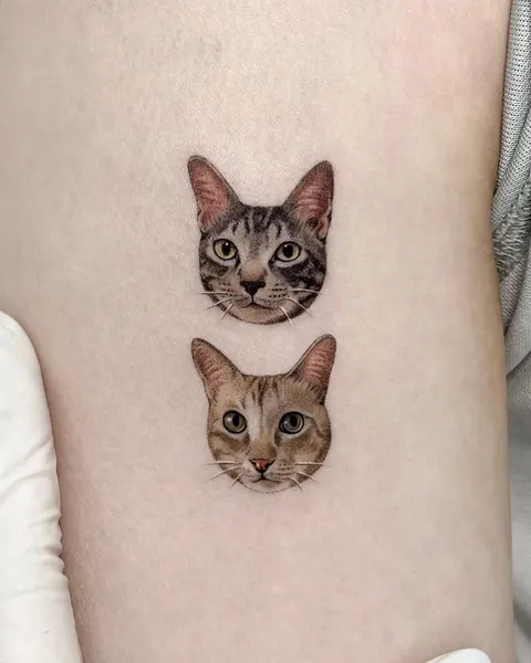 고양이