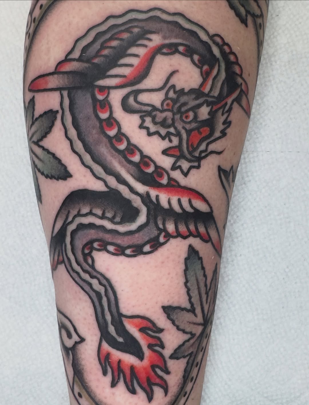 Dragon