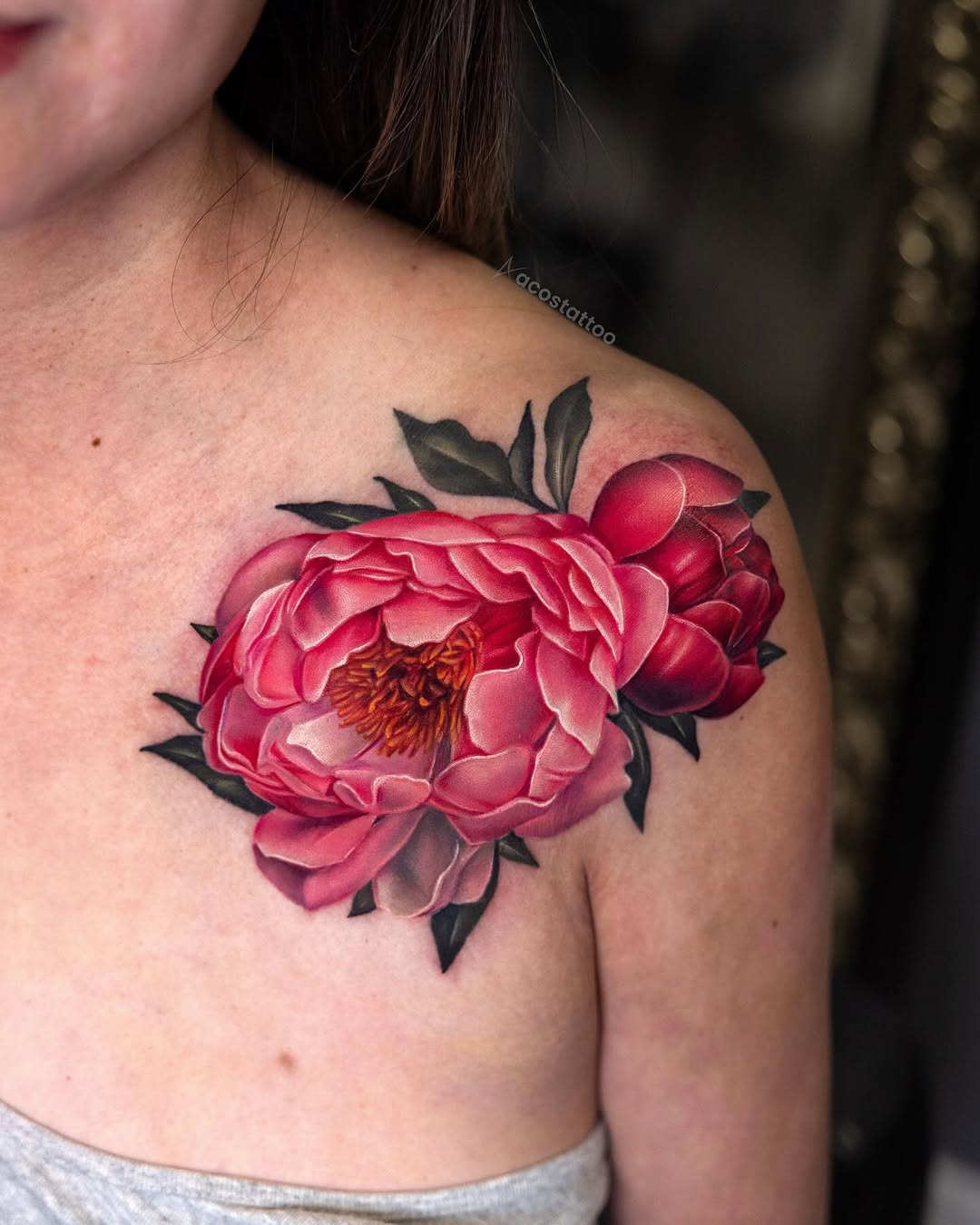 Flower, Rose, Nature