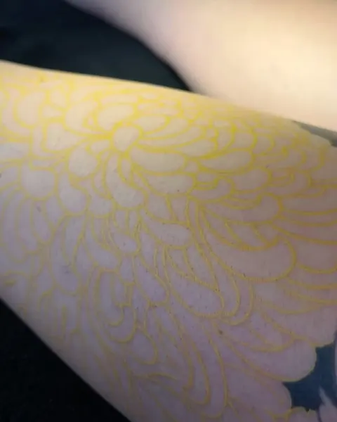 Flower, Rose, 일본 단풍