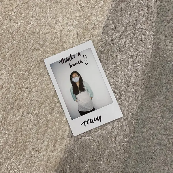 백조, 새, 공작, 펭귄, 비둘기, 바다거북, 댄서, 돌고래, 앵무새, 플라밍고