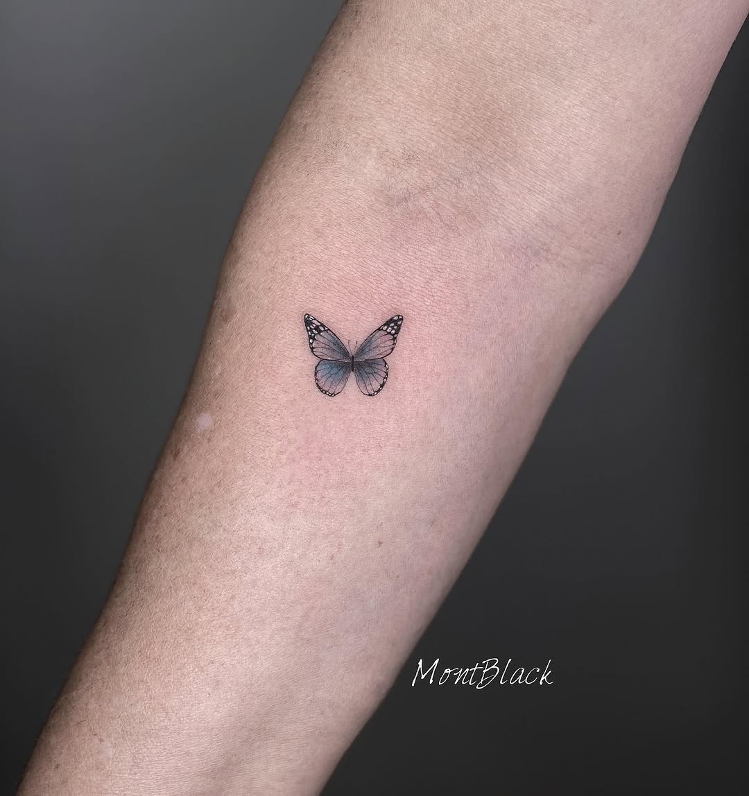 Animal, Nature, 나방