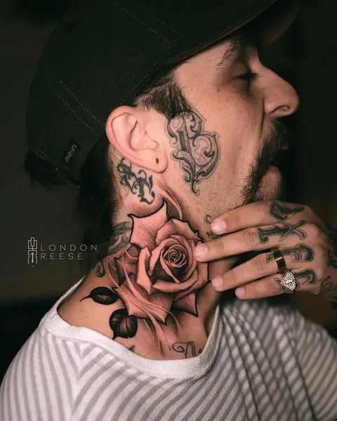 Rose, Nature, Flower
