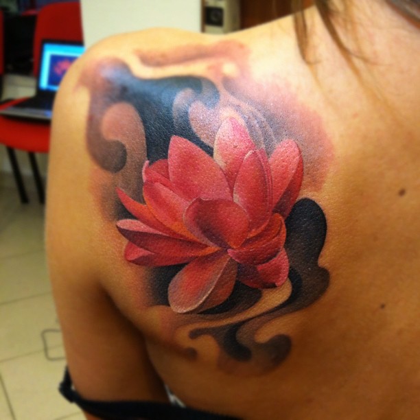 Flower, 연꽃, 탄생화, 한국 연꽃, 연꽃 만다라, 연꽃 문양