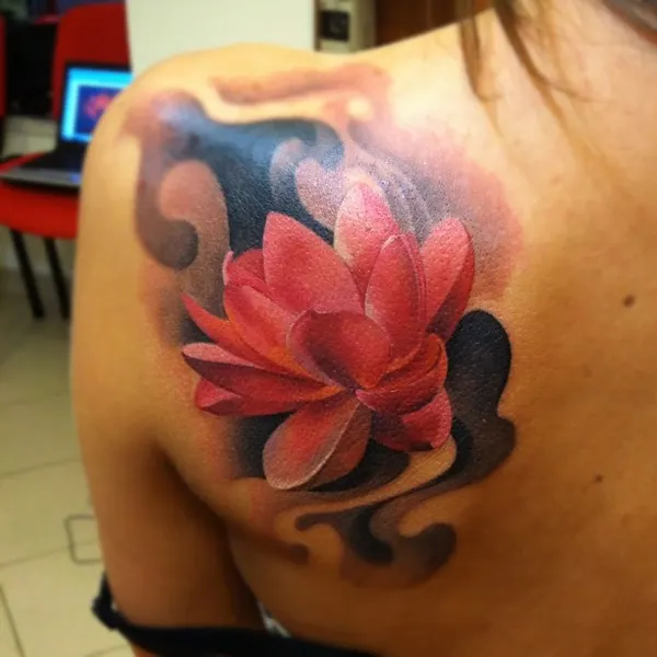 Flower, 연꽃, 탄생화, 한국 연꽃, 연꽃 만다라, 연꽃 문양