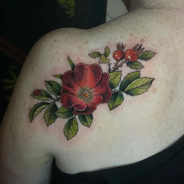Flower, Rose, Nature, 매화