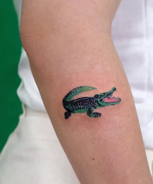 Dragon, 악어