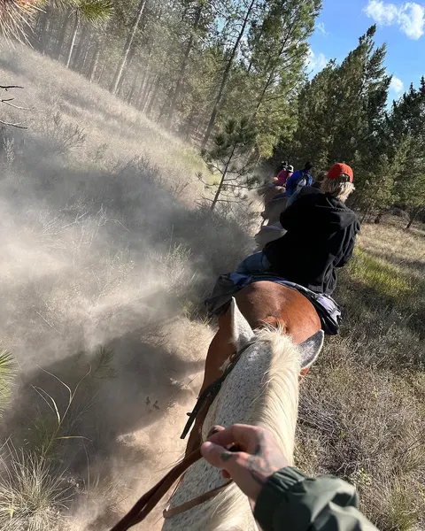mistertroshin