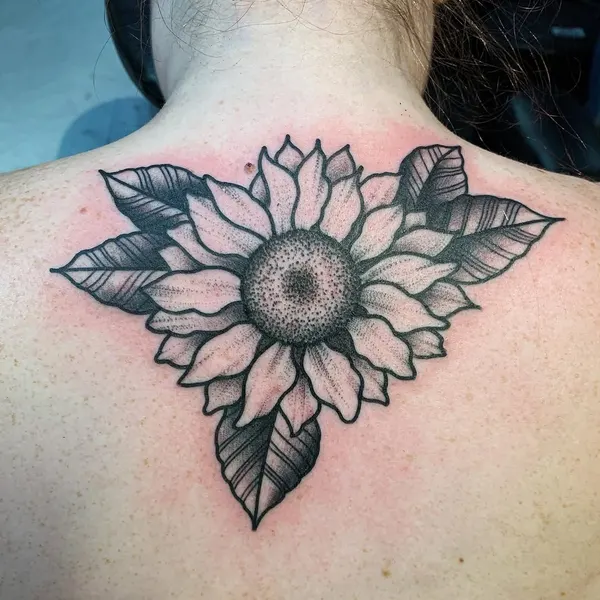 Flower, 국화