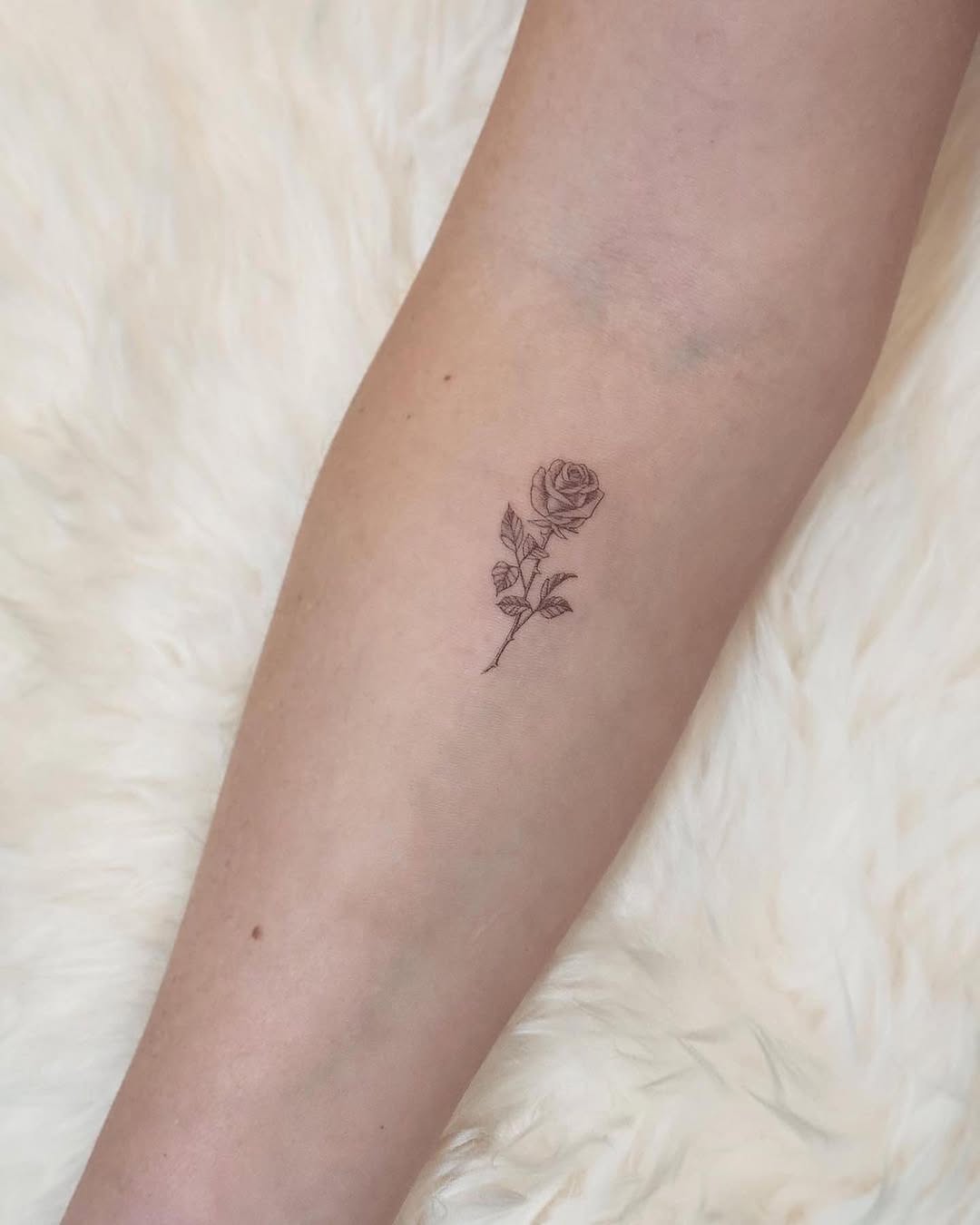 Flower, Rose, 야생화