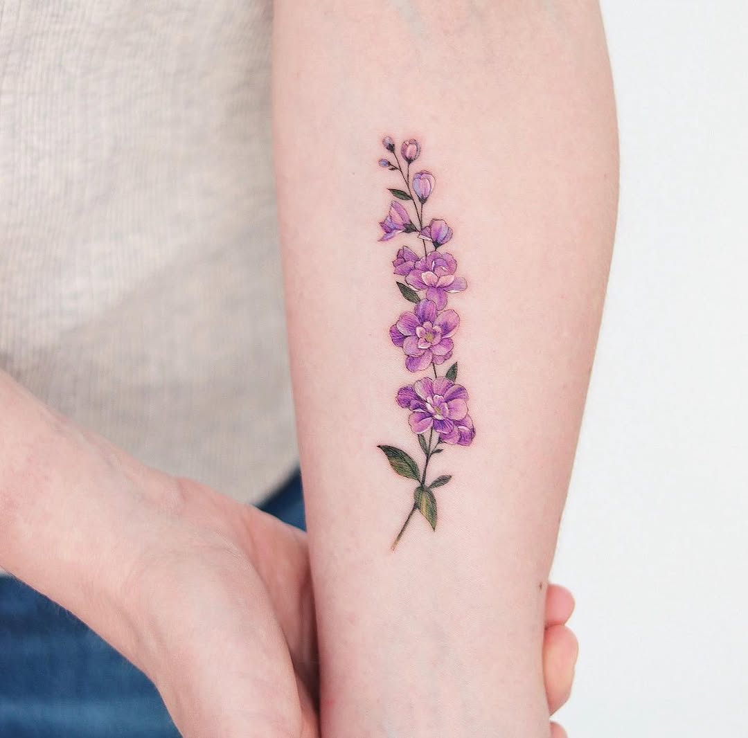 Flower, 라벤더, 난초