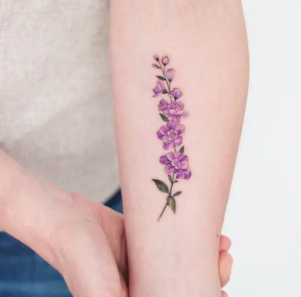 Flower, 라벤더, 난초