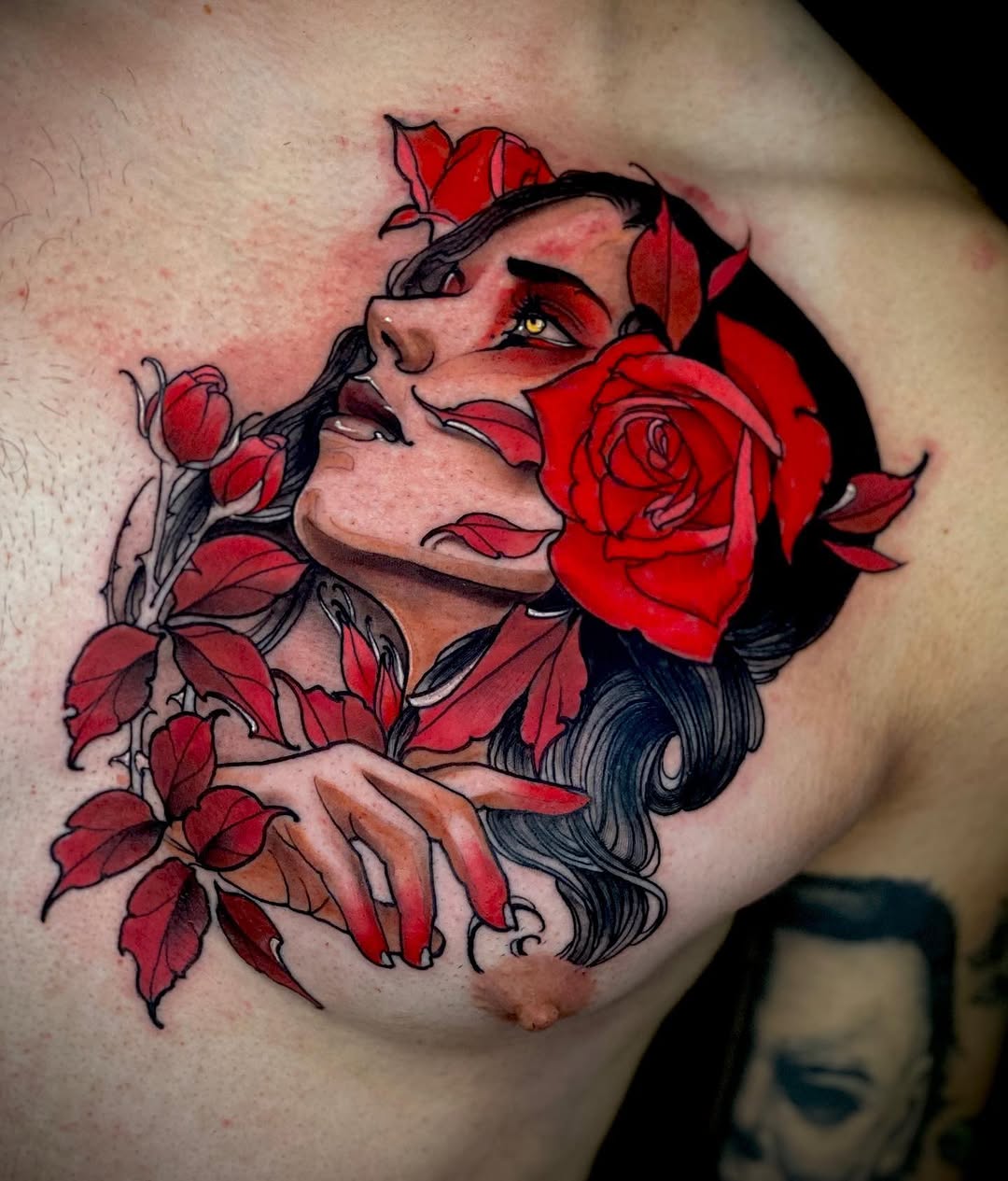 Flower, Rose, Nature