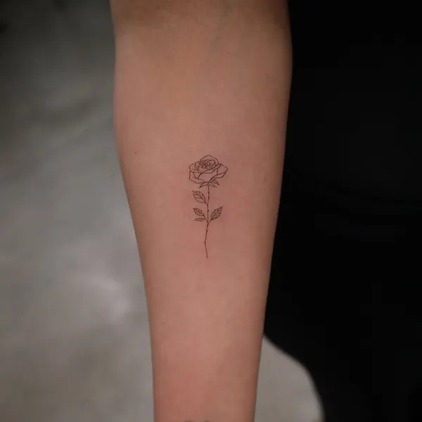 Flower, Rose, 카네이션, 치유, 프레임