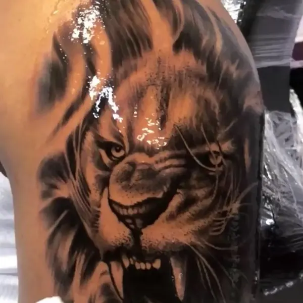 Tiger, 사자자리