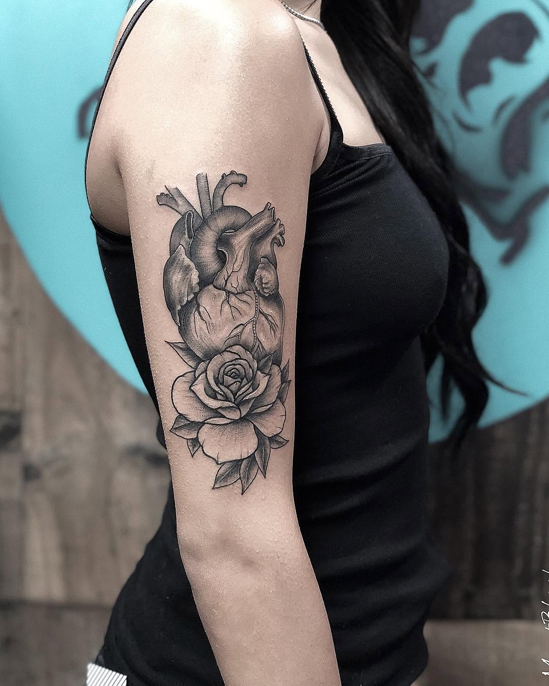 Flower, Rose, 심장 해부도