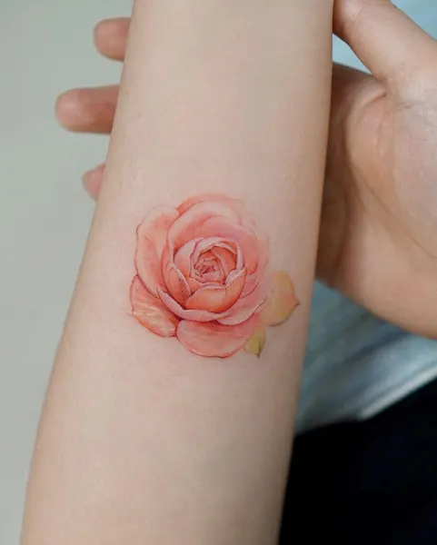 Flower, Rose