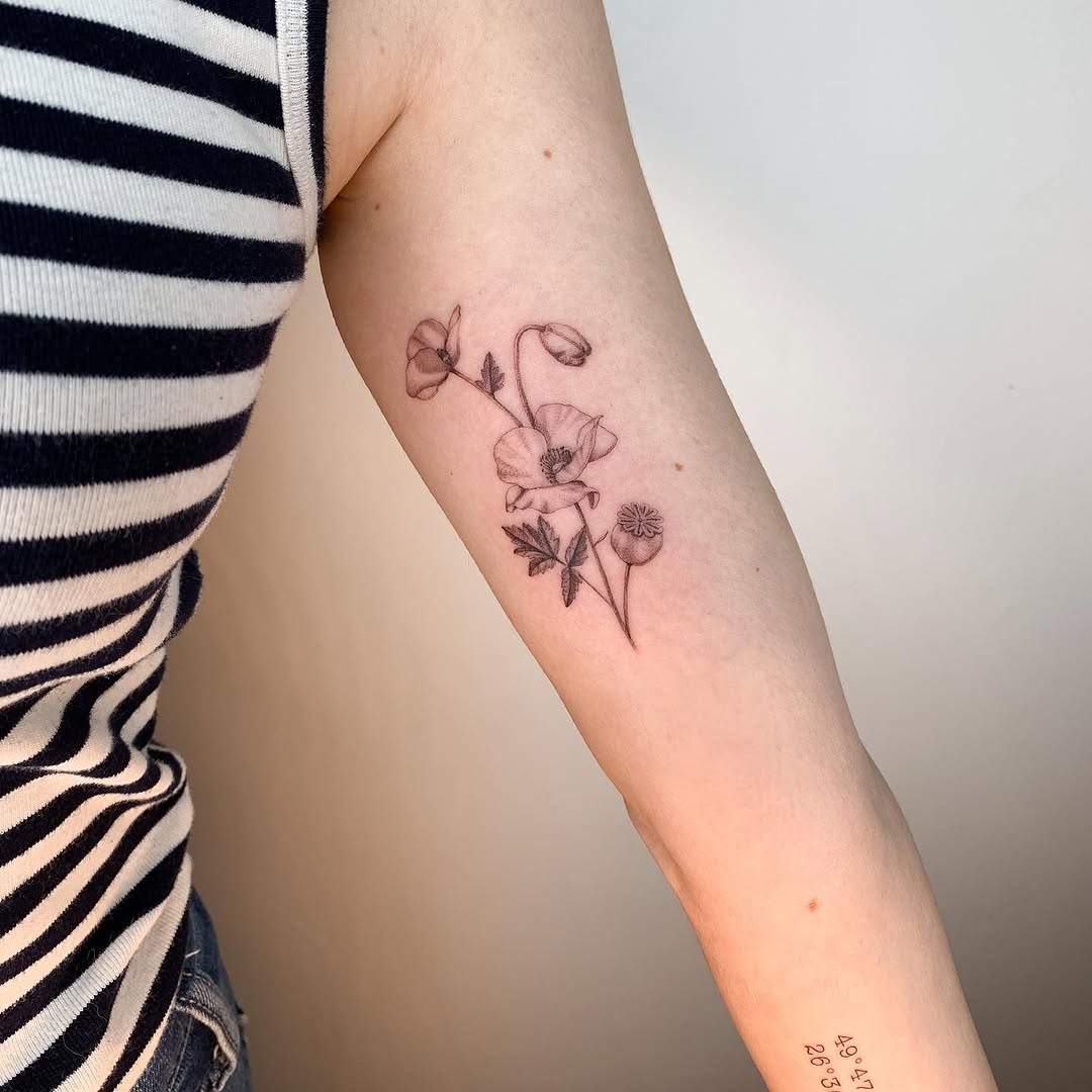 Flower, Rose