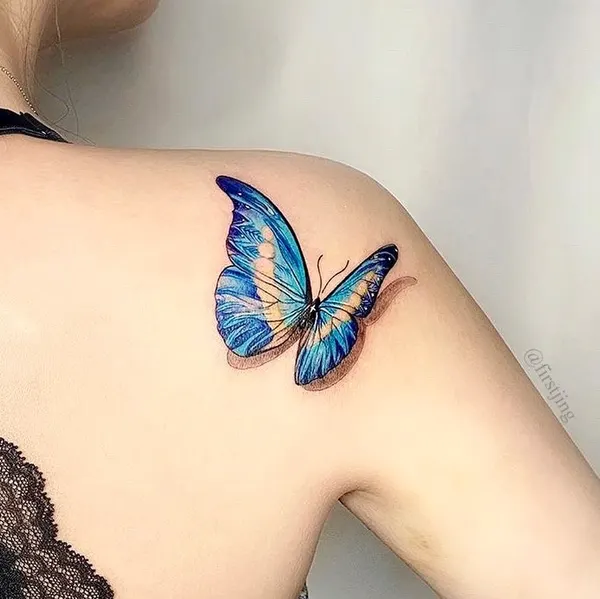 Nature, Animal, 나비, 요정, 나방