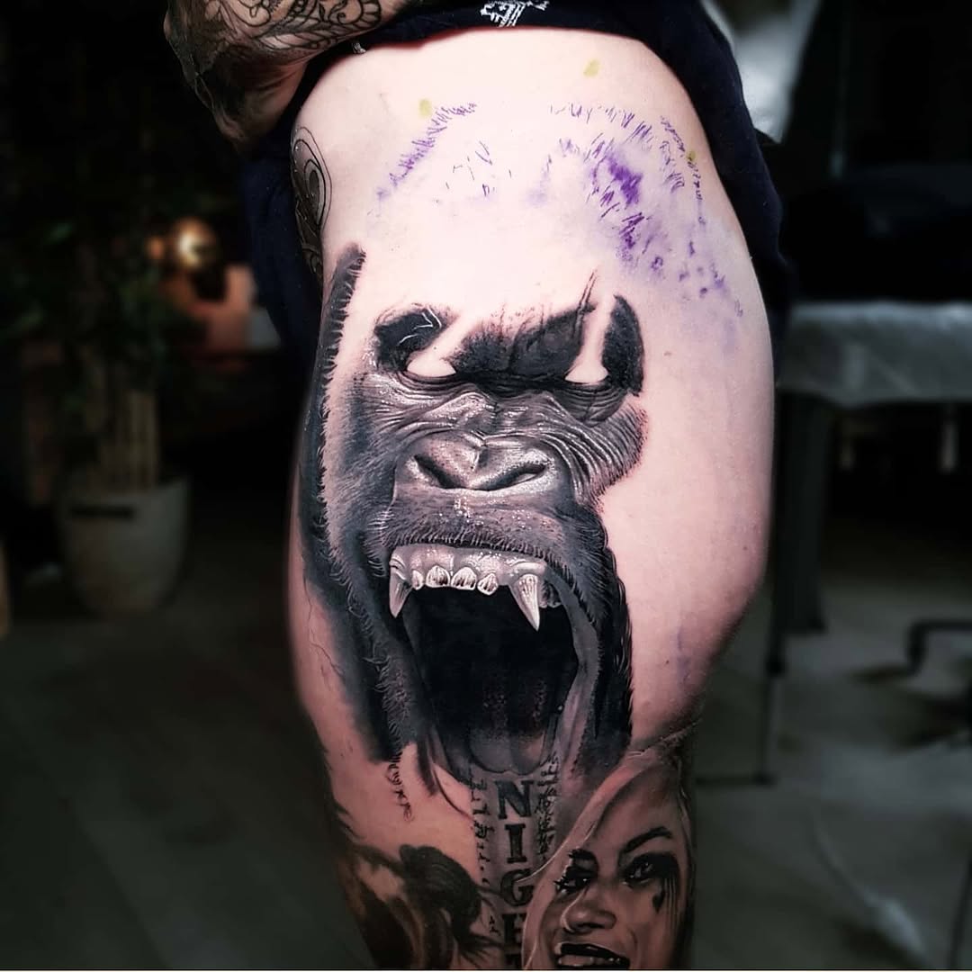 Tiger, Animal, 팬서