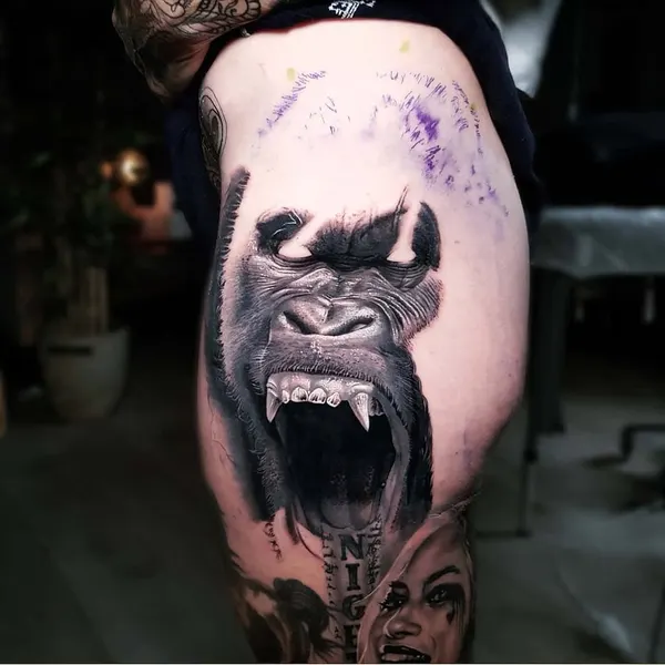Tiger, Animal, 팬서