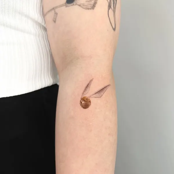 조개껍데기, Mini