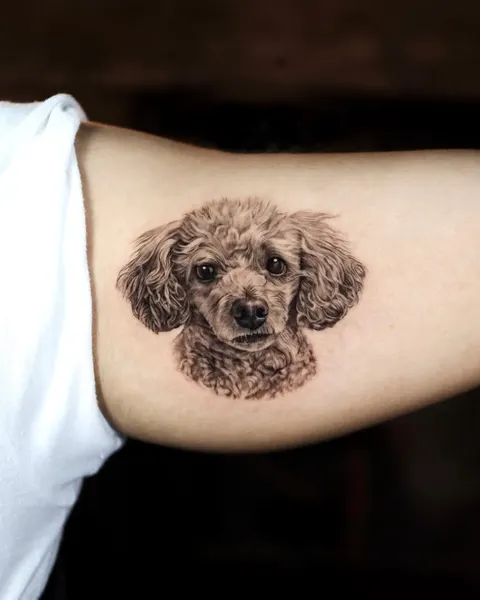 Animal