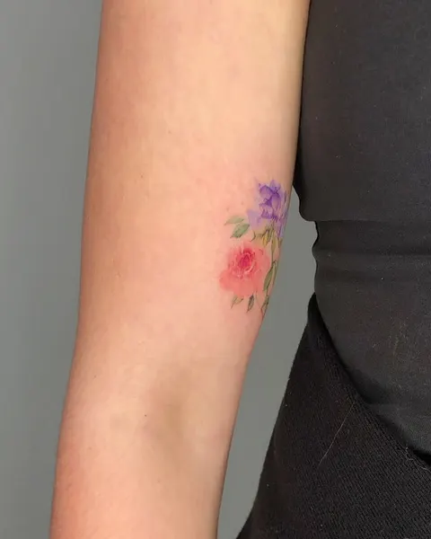 Flower, Rose, 모란